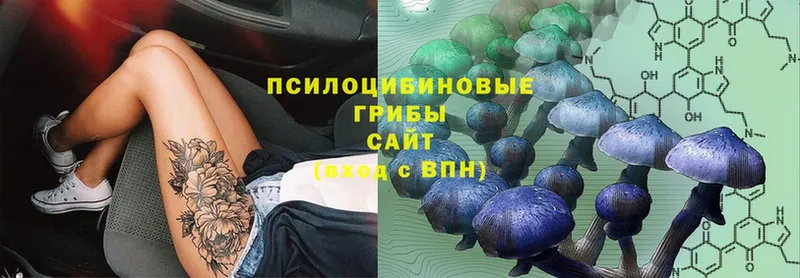 Галлюциногенные грибы Magic Shrooms Северодвинск